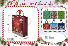 Accessories- Xmas Cheerful Gift Bag CGM-30065 (12 pack)