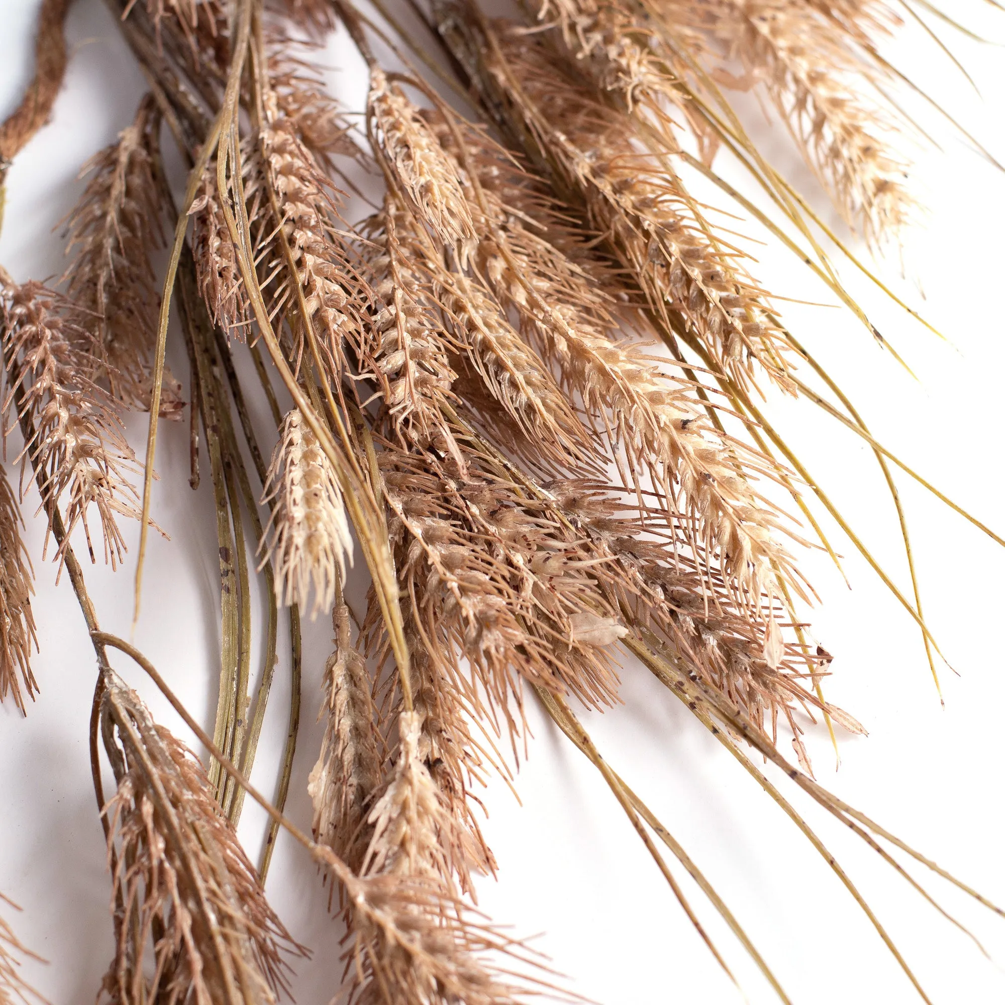 Amber Waves of Grain Autumn Wheat Fall Harvest Hanging Railing or Mantel Garland