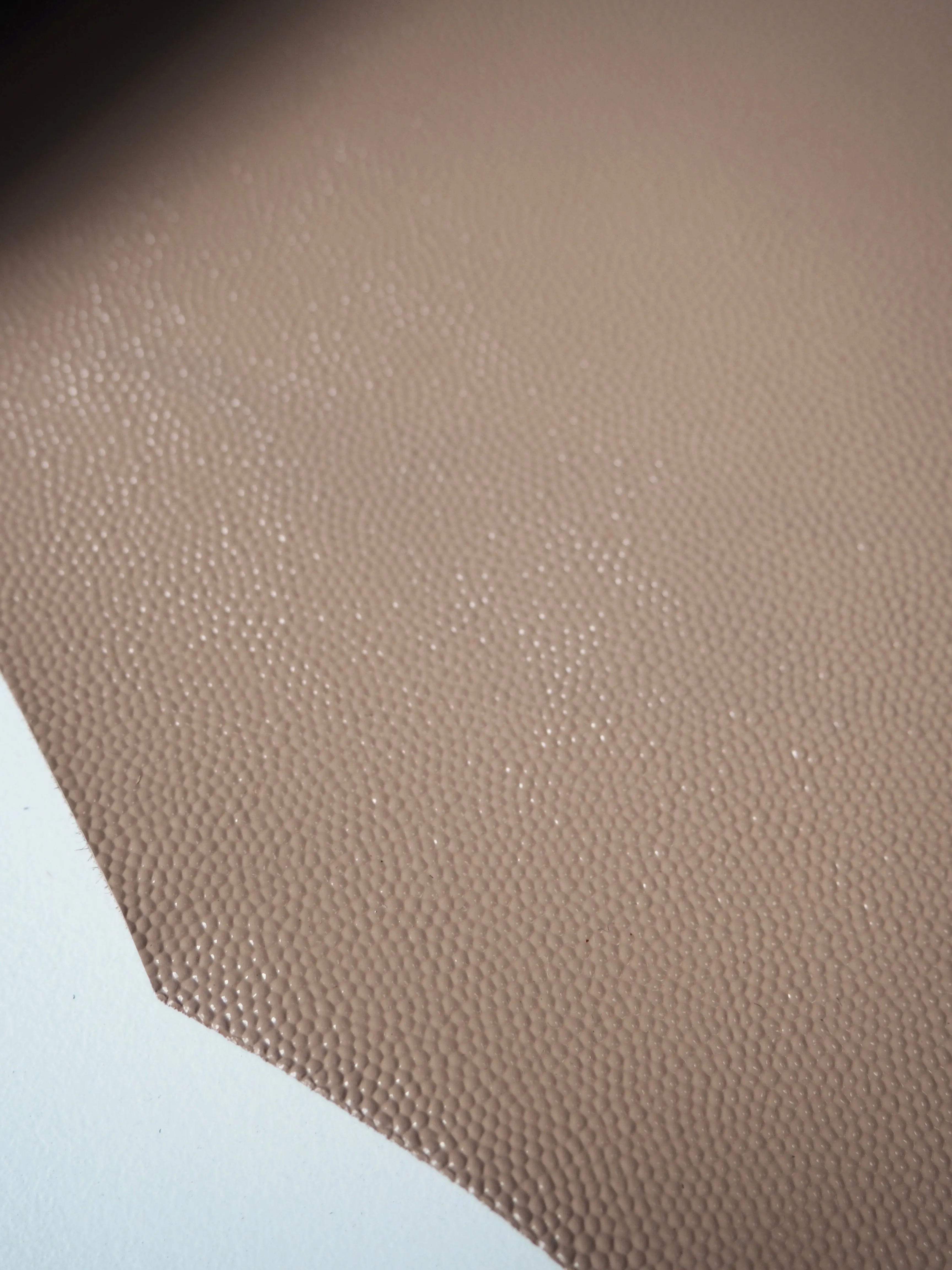 Beige Embossed Shiny Calfskin