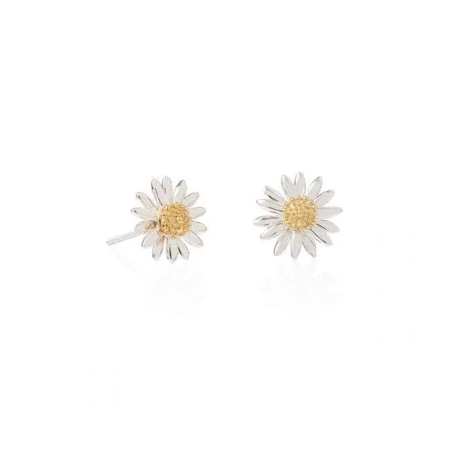 Bellis Daisy Stud 10mm Earrings E2005