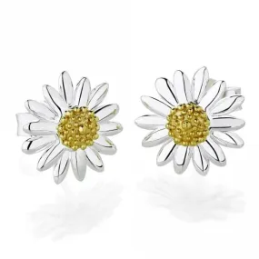 Bellis Daisy Stud 10mm Earrings E2005