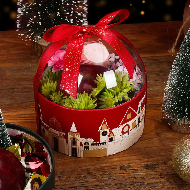 Christmas fruit transparent packing box