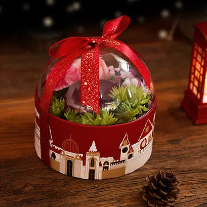 Christmas fruit transparent packing box