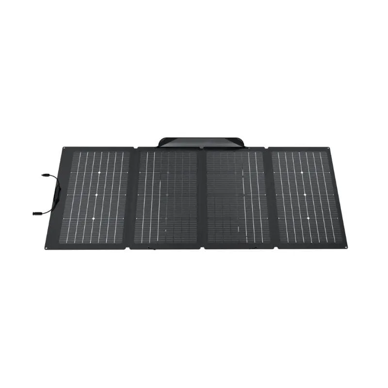 EcoFlow DELTA Max 1600 Portable Power Station    2x 220W Solar Panels