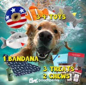 Official Shark Week Pampered Pooch Box