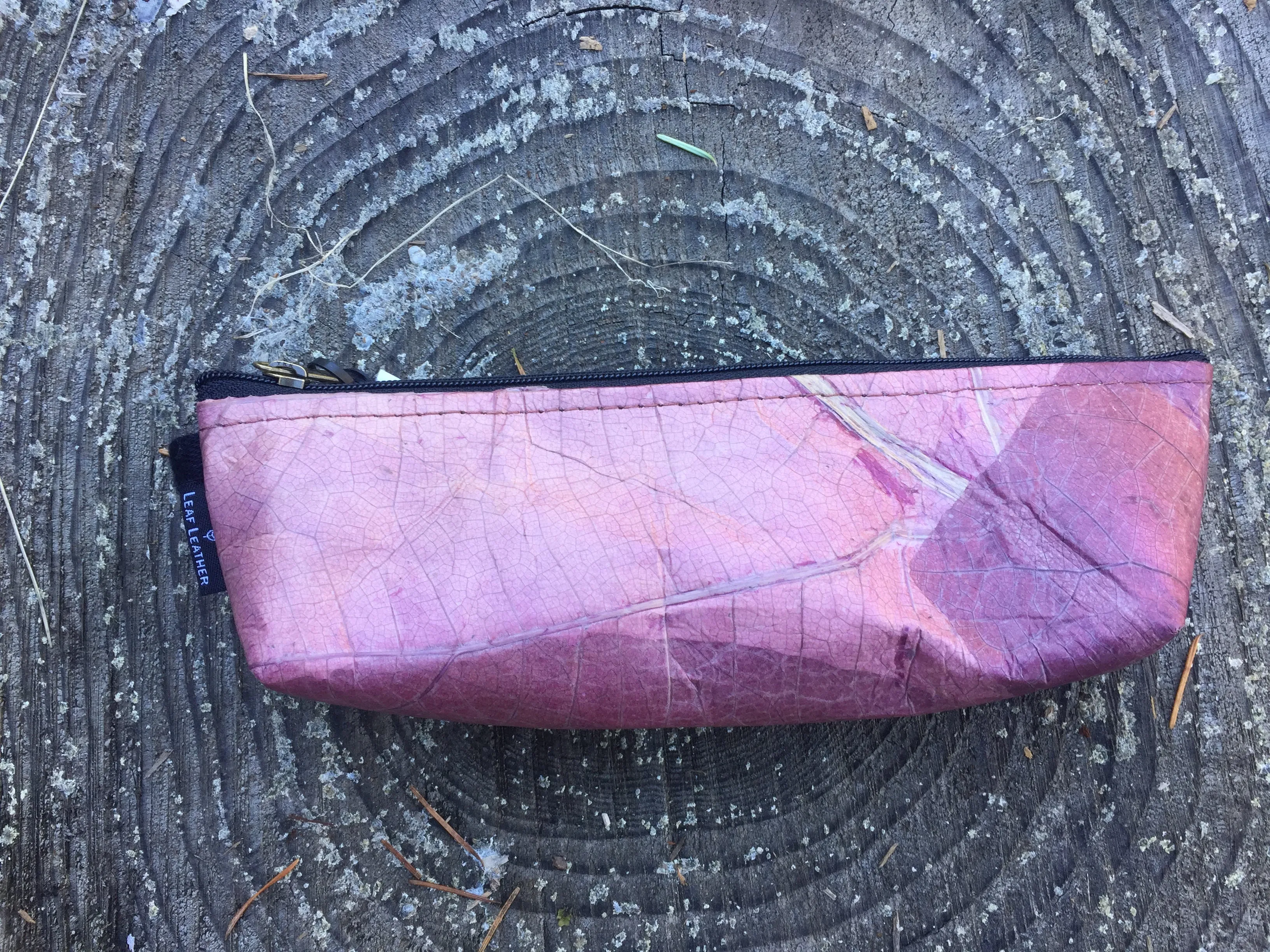 Pencil Case (Free Shipping)