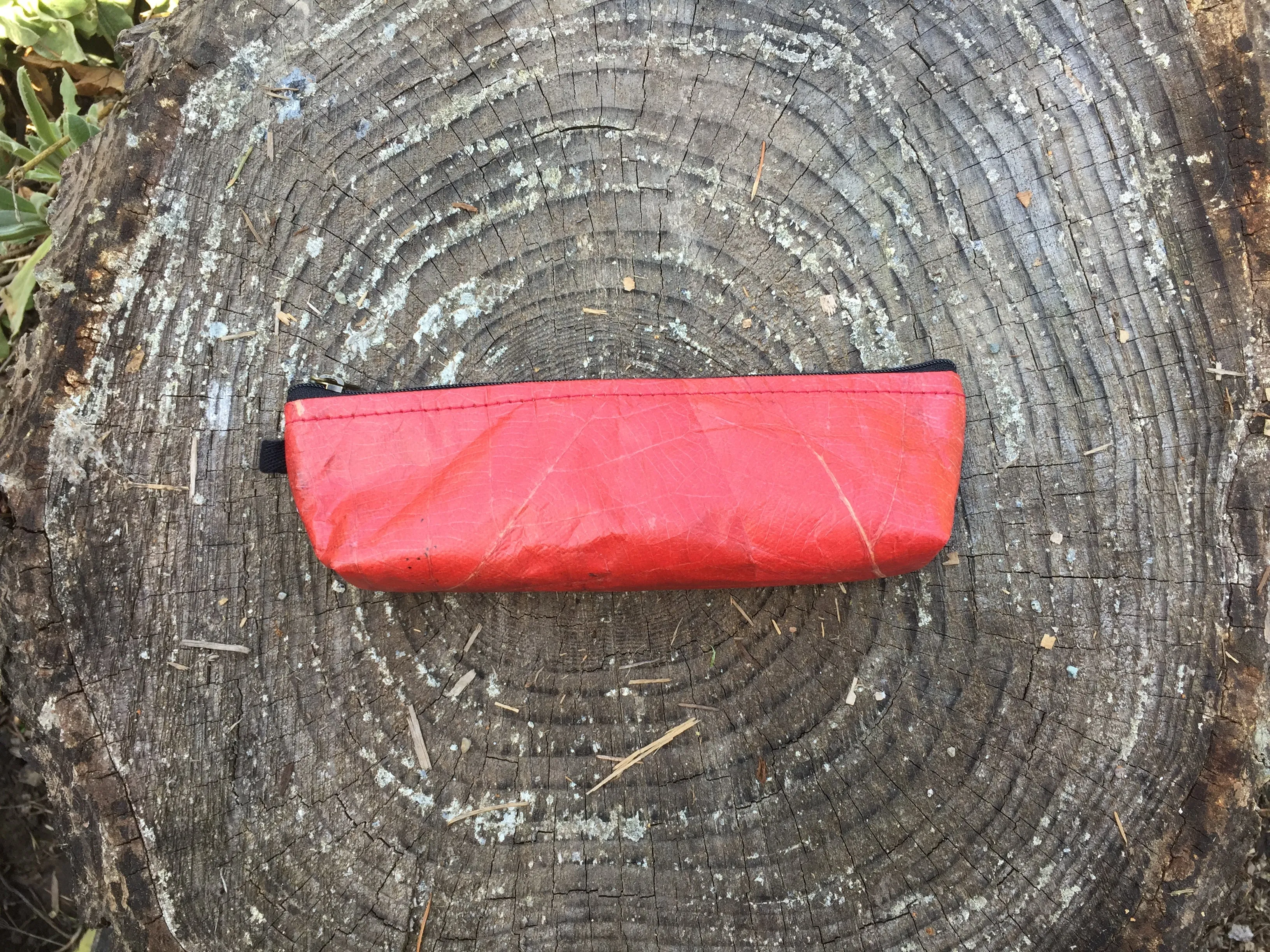 Pencil Case (Free Shipping)